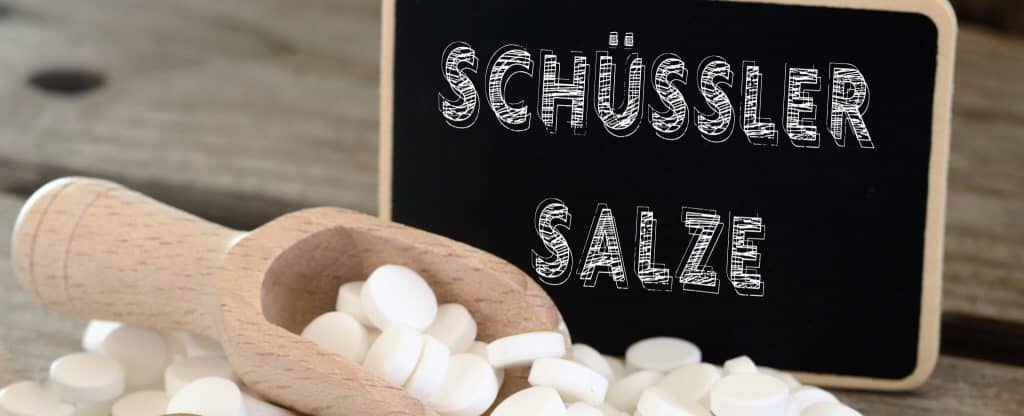 Schüssler Salze Ausbildung