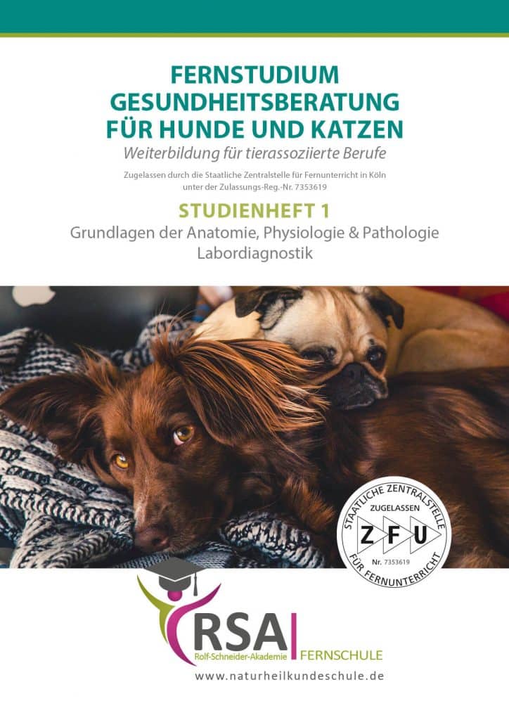 Gesundheitsberatung für Hunde und Katzen