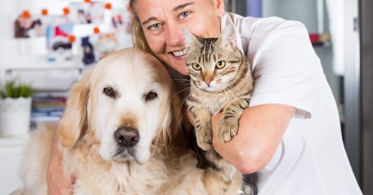 Gesundheitsberater für Hund und Katzen