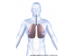 Differentialdiagnose: Erkrankungen der Atemwege