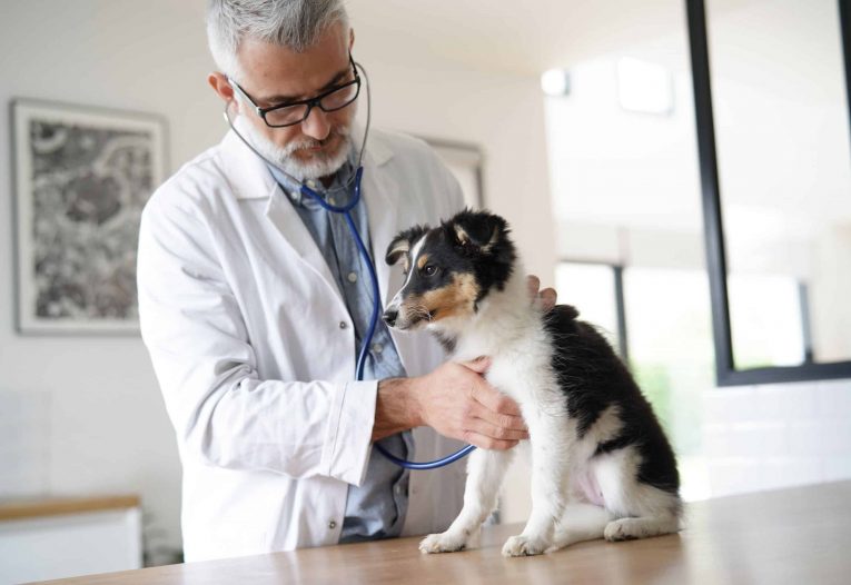 Fallaufnahme in der THP-Praxis Strukturierung des Patientenbilds und der Symptomatik