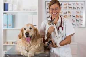 Prüfungstraining für THP-Anwärter - Teil 1