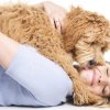 Tierheilpraktiker-Ausbildung und Ernährungsberater für Hunde