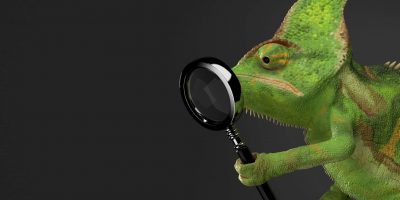 Tierheilpraktiker mit Fachrichtung Reptilien