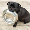 Kräuter- und Vitalpilztherapie und Ernährunsgberatung für Hunde